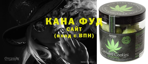 гидра Богородицк