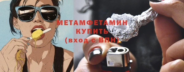 гидра Богородицк