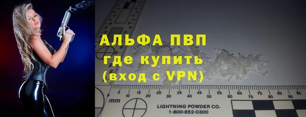 гидра Богородицк