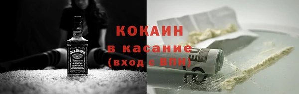 гидра Богородицк