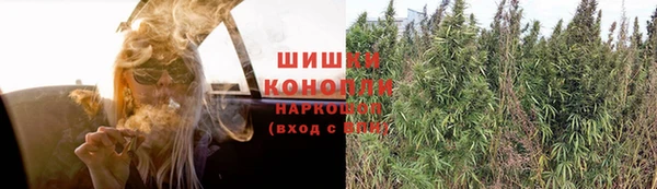 гидра Богородицк