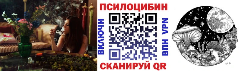 ОМГ ОМГ маркетплейс  Бузулук  Галлюциногенные грибы Psilocybe 